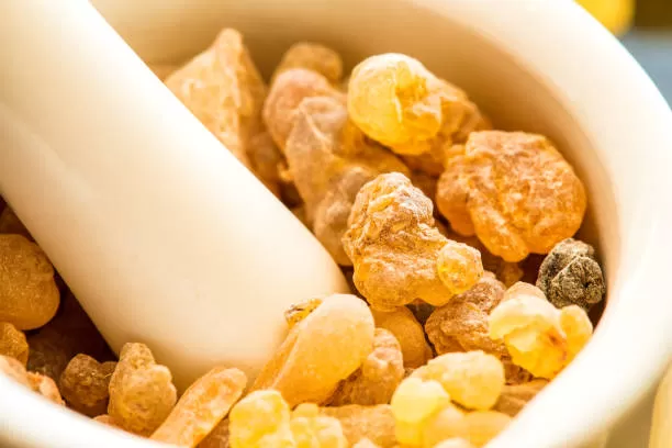 What is another name for Boswellia serrata?