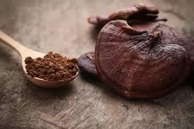 what are the benefits of reishi mushroom extract