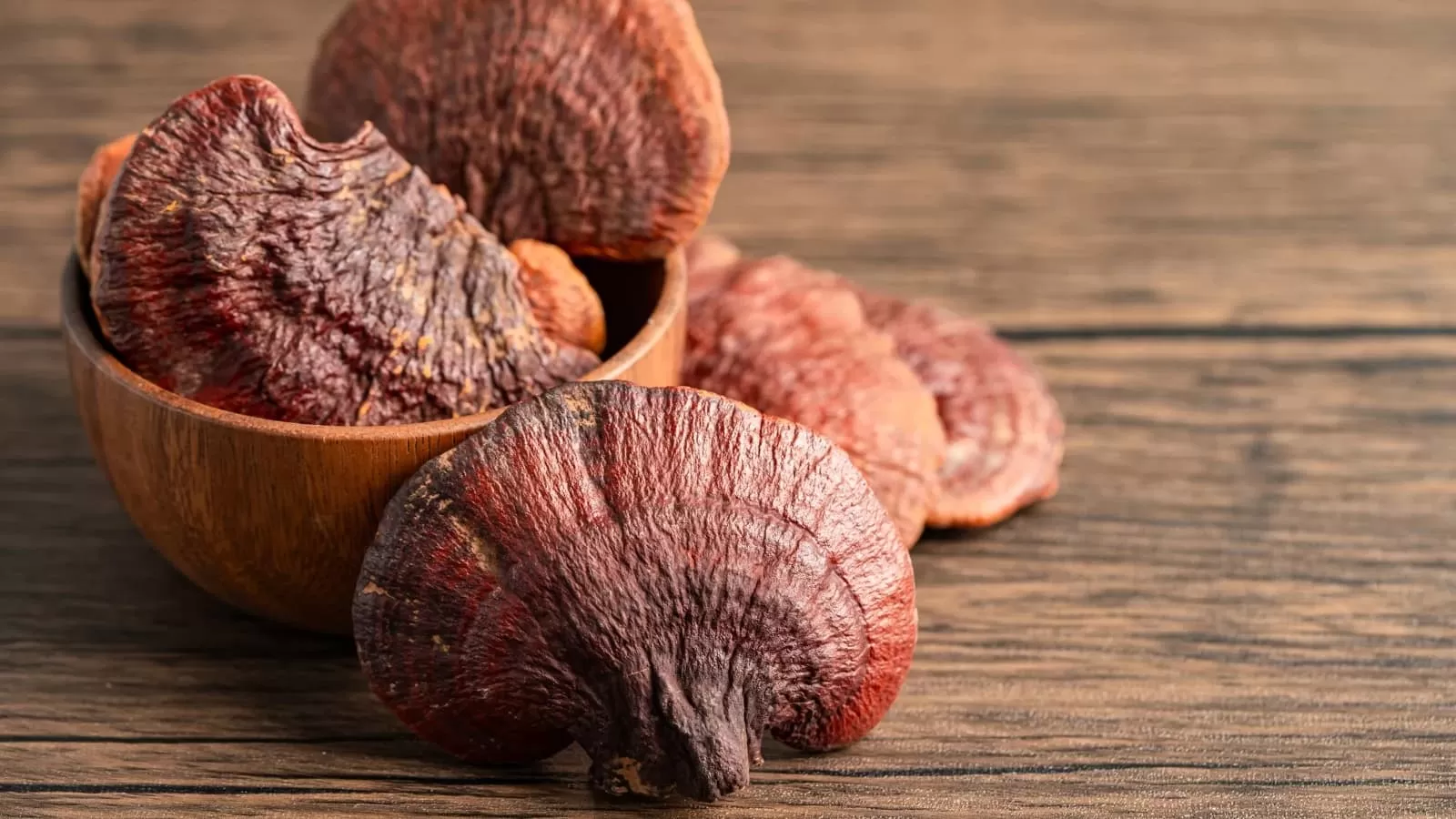 what does reishi mushroom extract do for you