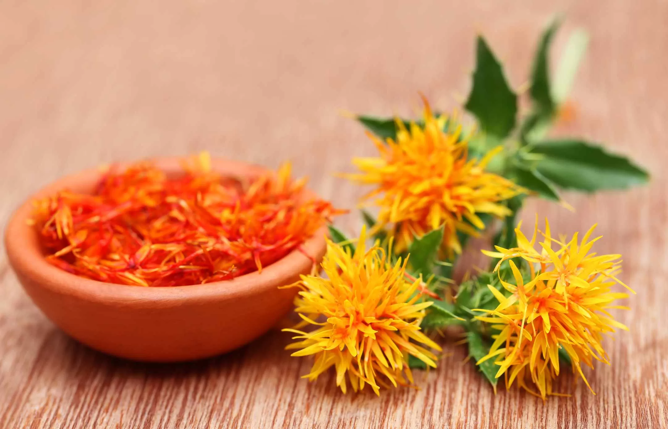 Safflower: Ancient Remedy Fused With Modern Science  