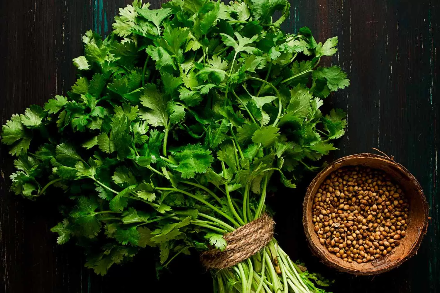 4 Science-Backed Benefits of Coriander and How to Incorporate It Into Your Diet