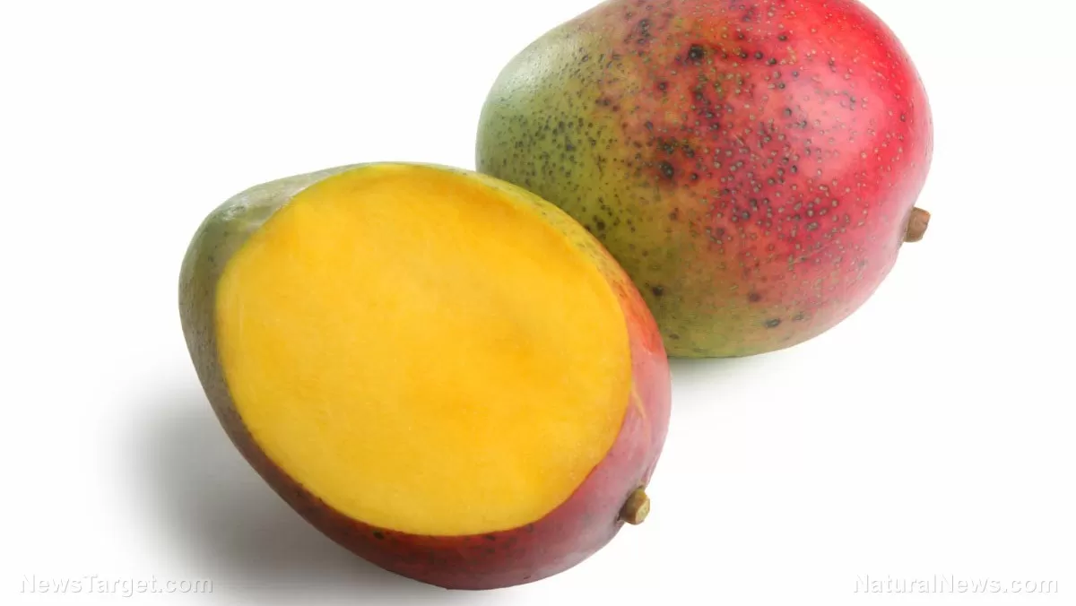 Mango Paradox: How a Sweet Fruit Could Defuse a National Health Crisis