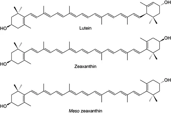 Zeaxanthin: A Surprising Ally in Cancer Immunotherapy