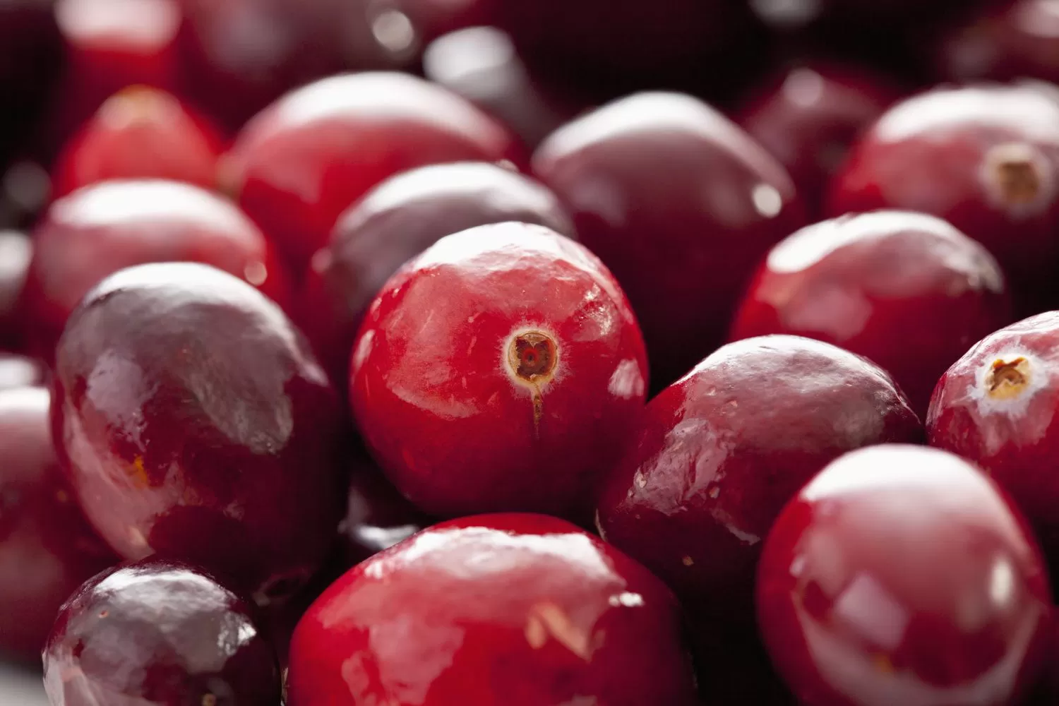 Examining Cranberry's Role in Kidney Health: A Myth or a Remedy?