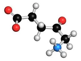 what does increased aminolevulinic acid mean