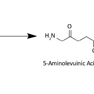 What does aminolevulinic acid do