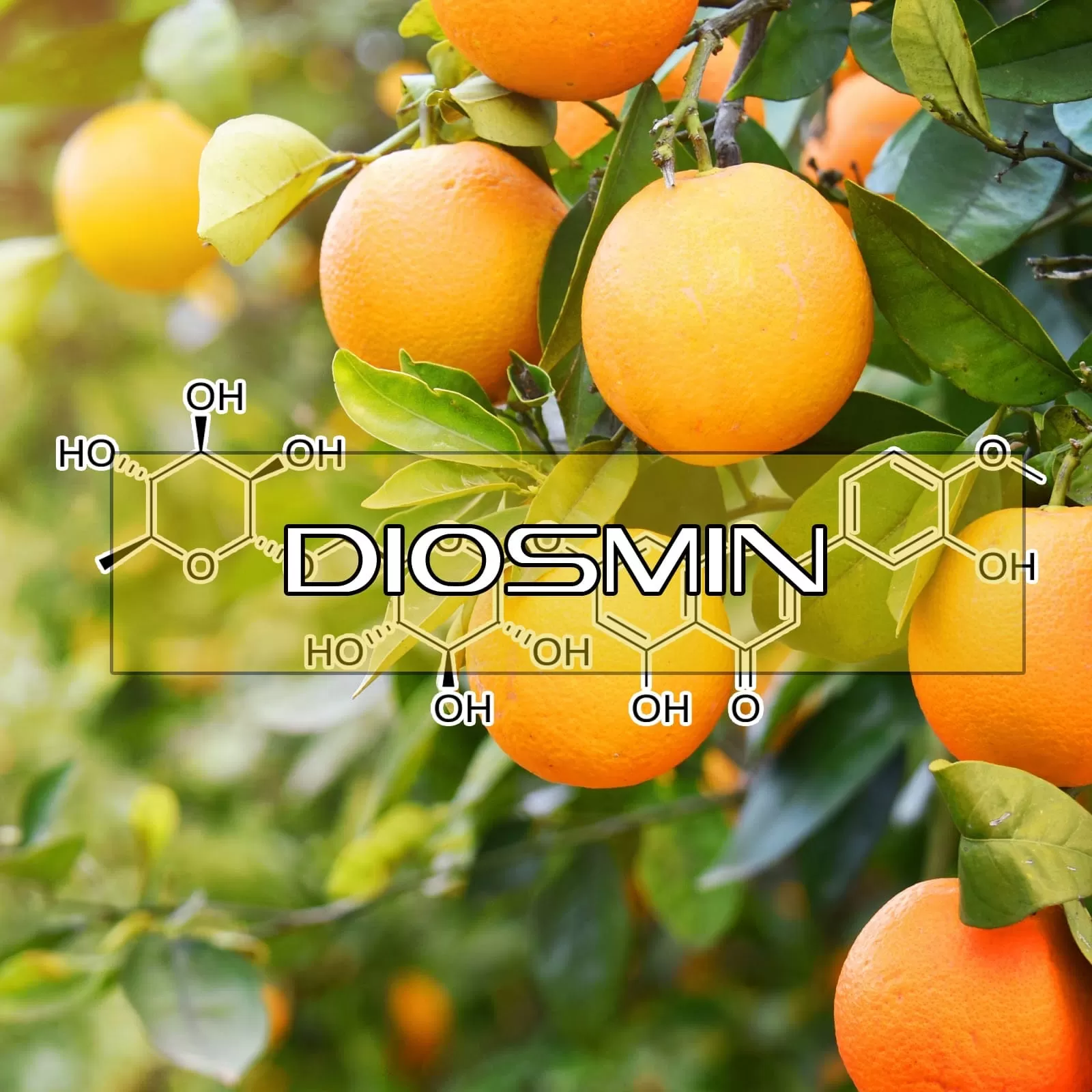 Diosmin: Foods That Contain This Bioflavonoid and Its Health Benefits