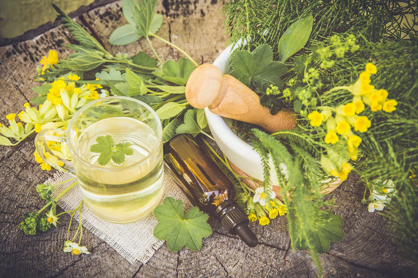 Anti-Inflammatory Plant Extracts: Nature’s Answer to Wellness