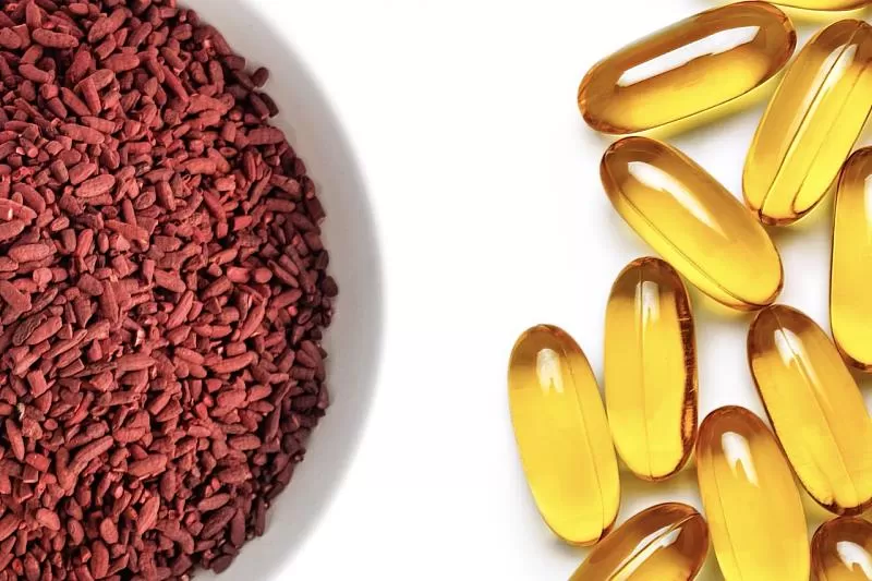 An In-depth Exploration of Red Yeast Rice Powder: Uses, Benefits, and Considerations