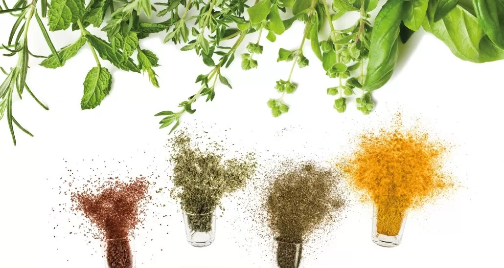 What is whole plant extract