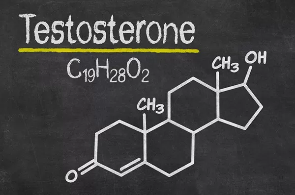 Which herb increases testosterone the most?