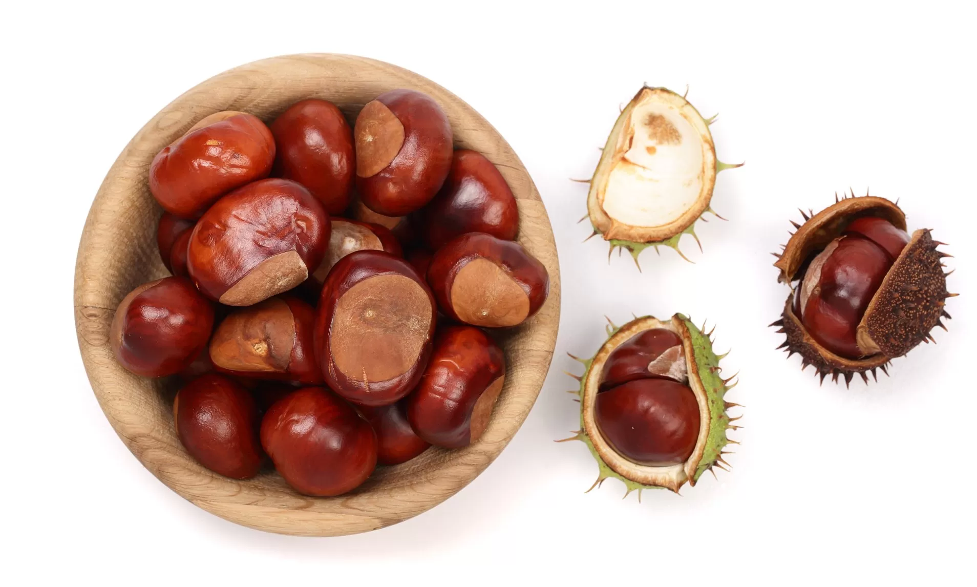 Is Horse Chestnut an Essential Oil? 