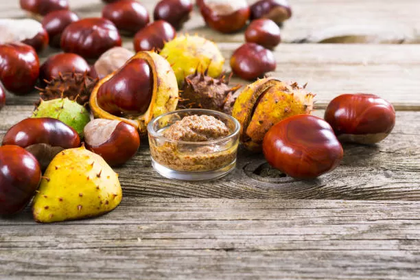 What Is the Generic Name for Horse Chestnut?