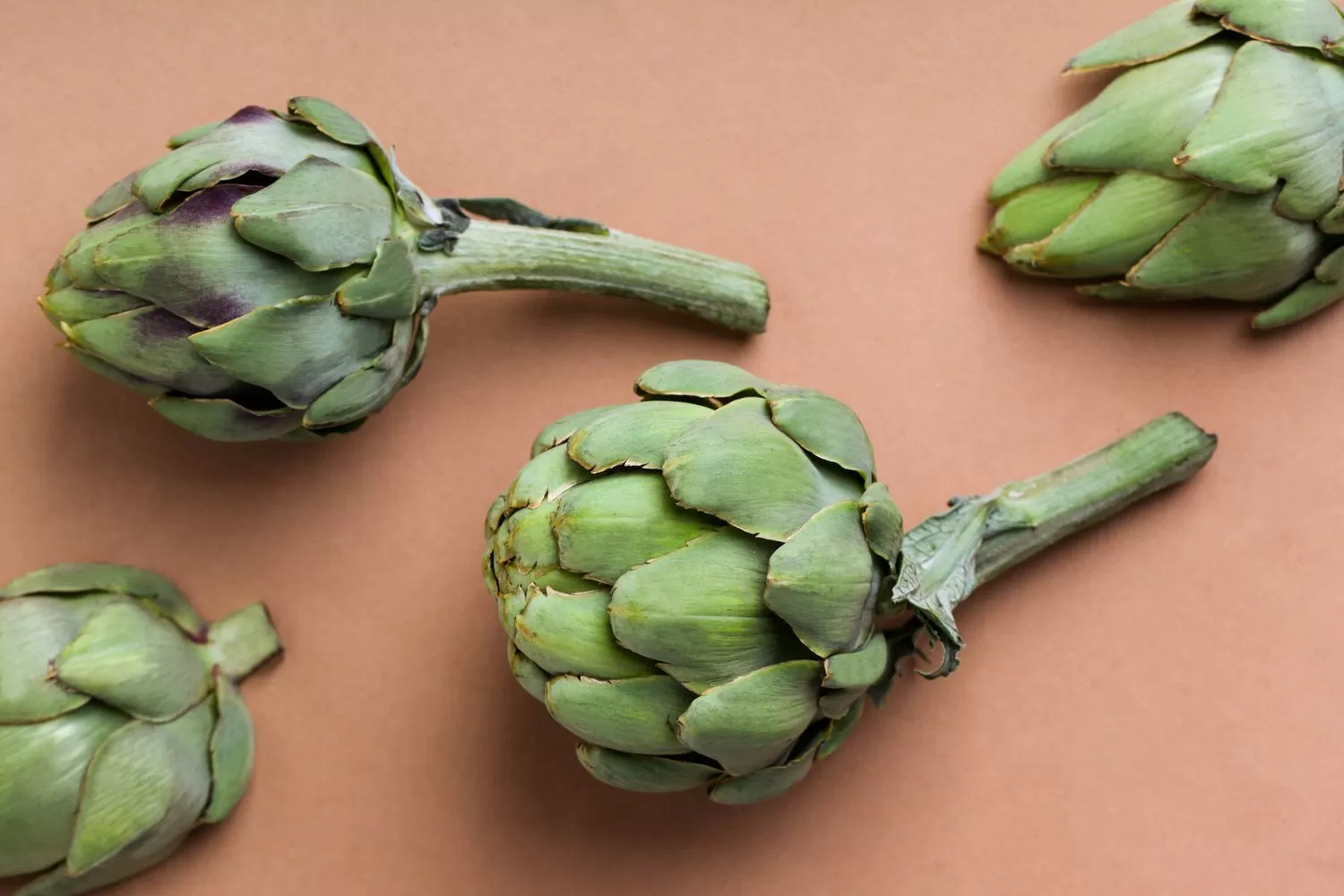 what is the best artichoke extract to take