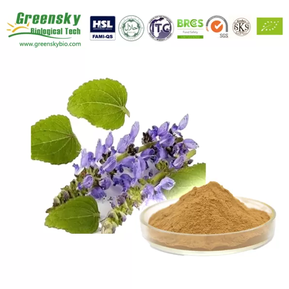 Coleus Forskohii Extract: Benefits, Applications & Sourcing from a Trusted Supplier
