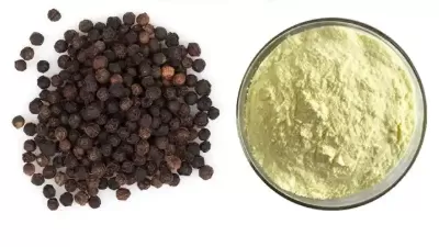Piperine (Black Pepper Extract) Ultimate Guide: Benefits, Applications, and Sourcing from a Trusted 