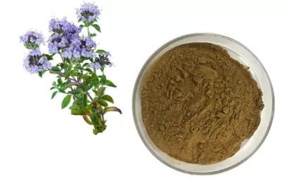 Thymus vulgaris Extract: Natural Active Ingredient with Multiple Applications