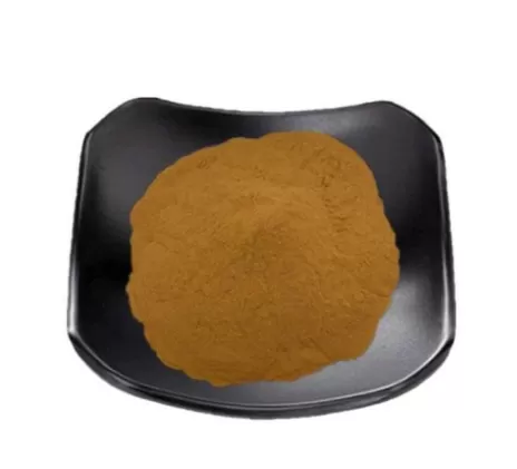 Ashwagandha Extract Ultimate Guide: Benefits, Applications, and Sourcing from a Trusted Supplier