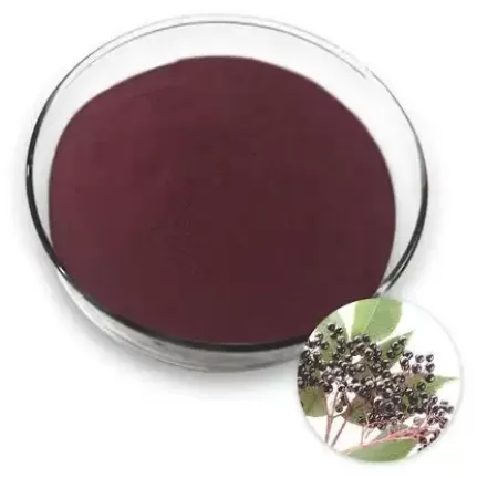 ​Elderberry Extract Ultimate Guide: Benefits, Applications, and Sourcing from a Trusted Supplier