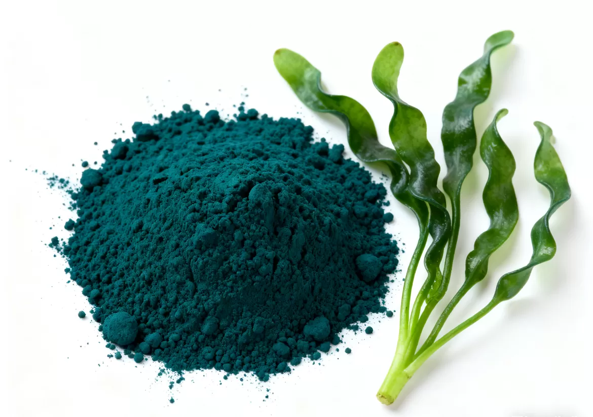 Organic Spirulina Powder