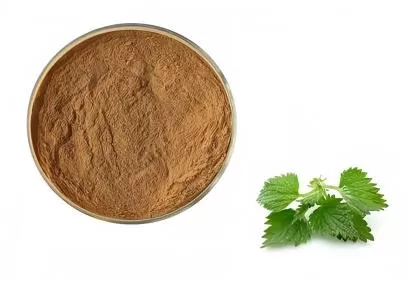 ​Urtica Dioica Extract Ultimate Guide: Benefits, Applications and Sourcing from a Trusted Supplier