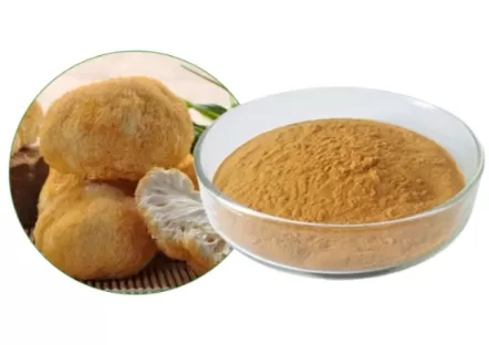 Hericium Erinaceus Extract Ultimate Guide: Benefits, Applications, and Sourcing from a Trusted Suppl