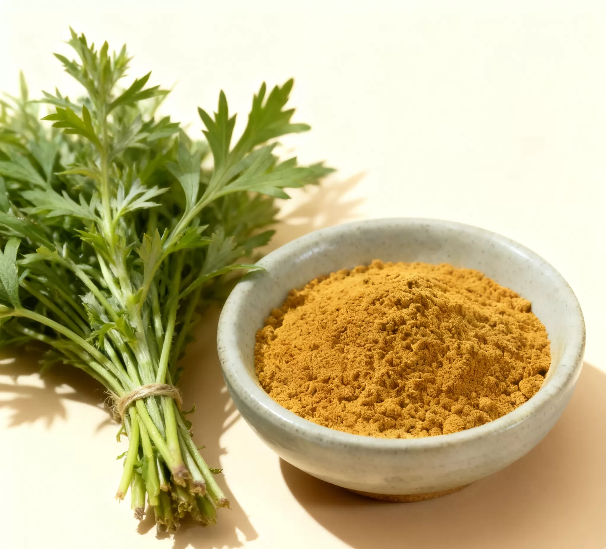 【Wormwood Extract】Complete Guide: Benefits, Applications, and Supplier Selection