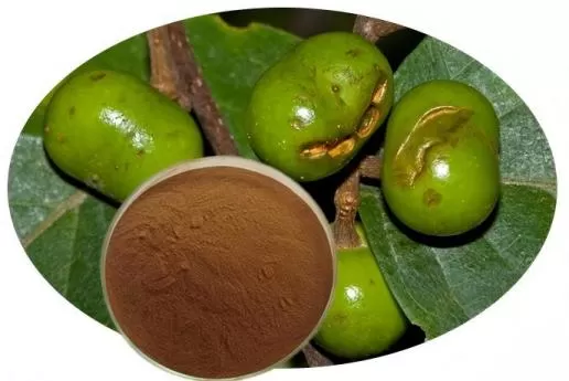 Pygeum Africanum Extract Ultimate Guide: Benefits, Applications and Sourcing from a Trusted Supplier