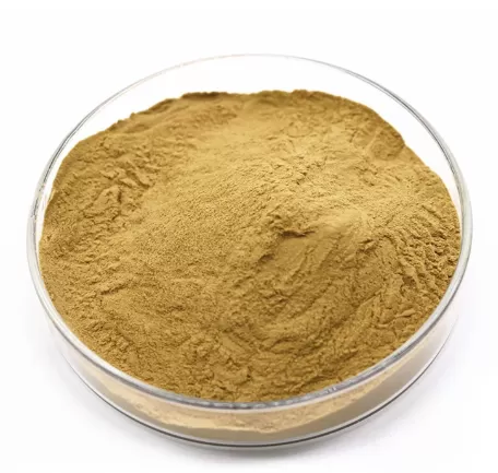 Bacopa Monnieri Extract Ultimate Guide: Benefits, Applications, and Sourcing from a Trusted Supplier