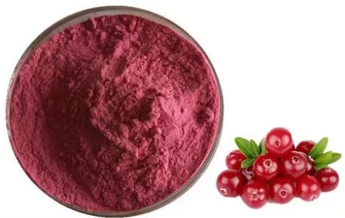 Cranberry Extract Ultimate Guide: Urinary Health, Antioxidant Benefits