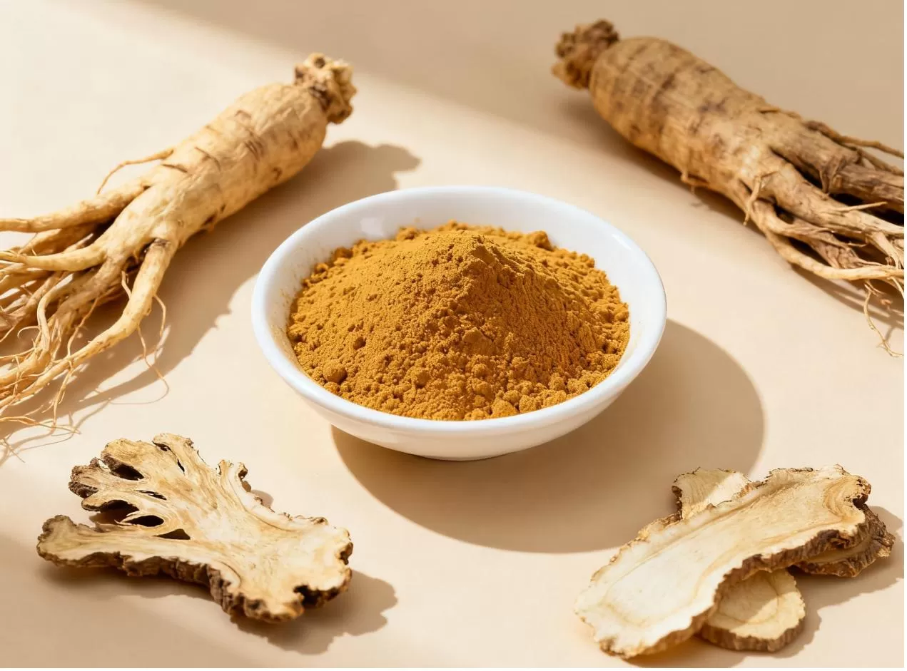  Angelica Sinensis Extract