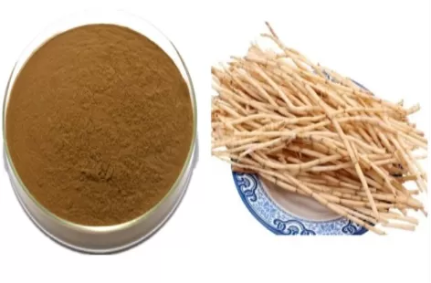 Cogongrass Extract