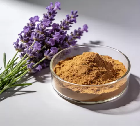 Lavender Extract