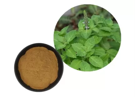 Pelargonium Sidoides Extract