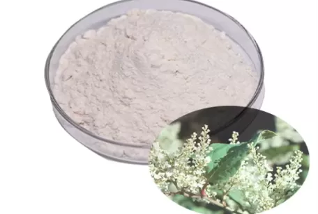 Trans-Resveratrol Powder