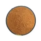 Angelica Sinensis Extract