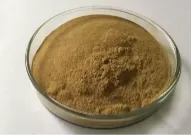 Tilia platyphyllos Extract