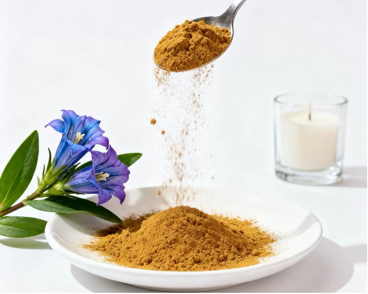 Gentiana Scabra Extract