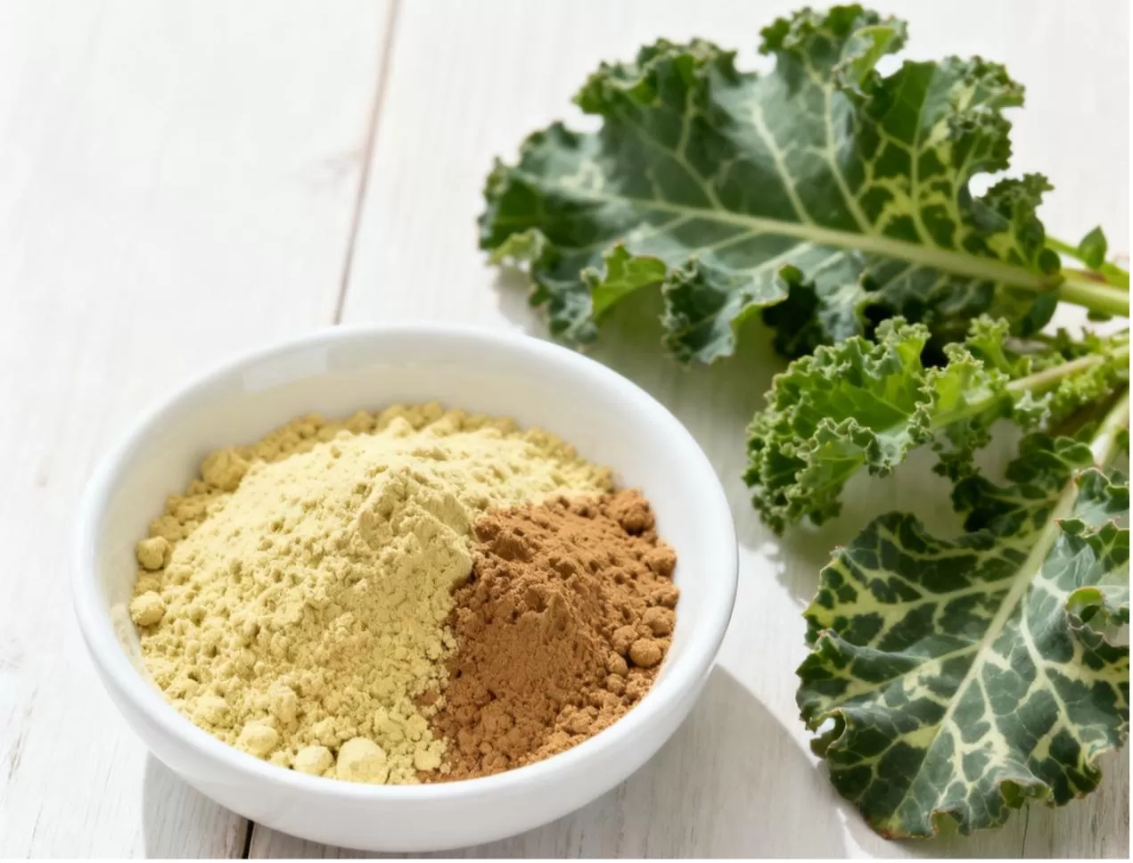  Iceland Moss Extract