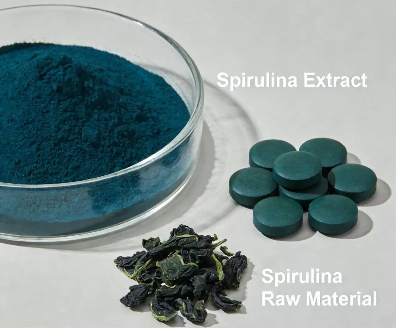 Spirulina Extract