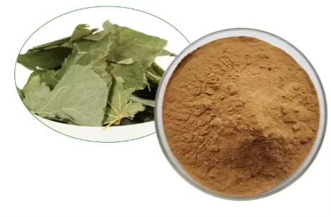 Epimedium Extract