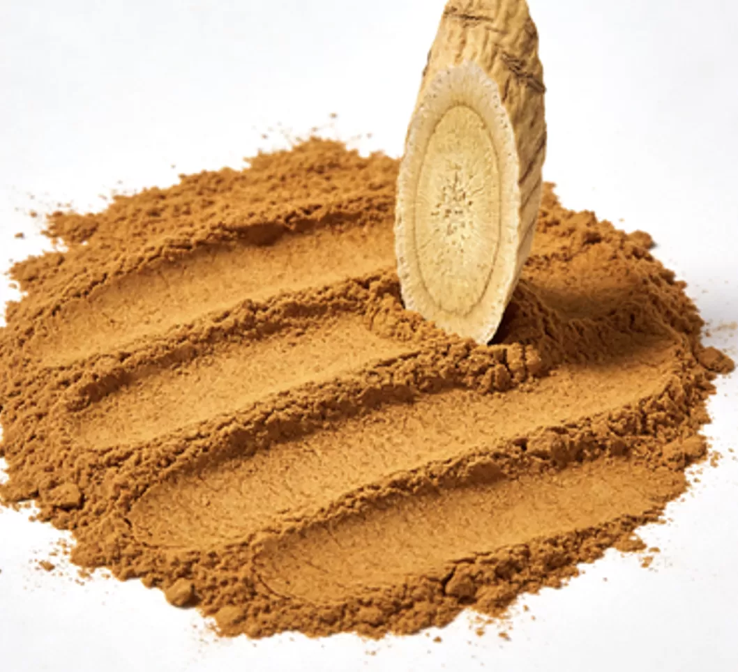 Astragalus (Huang Qi) Extract