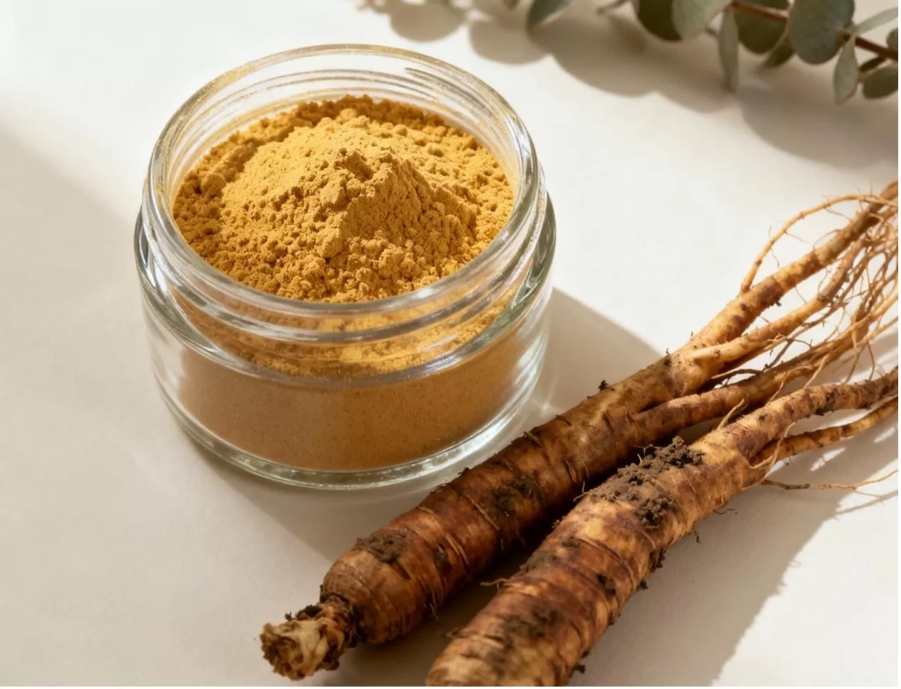 Siberian Ginseng Powder