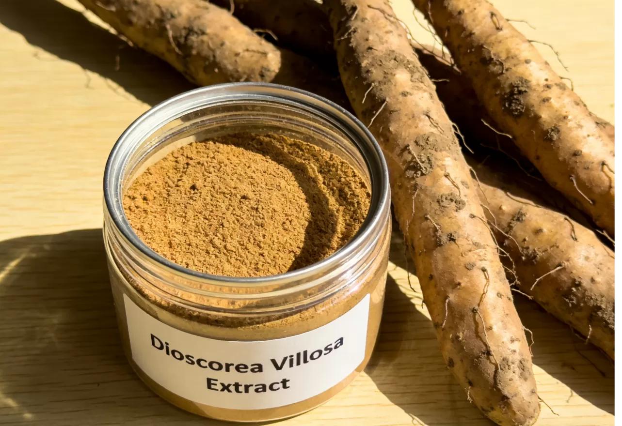 Dioscorea Villosa Extract