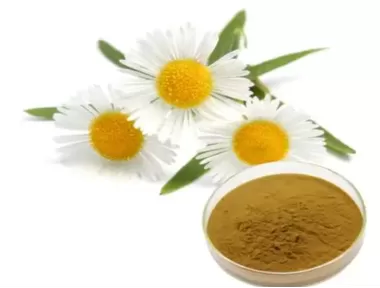 Chamomile Extract