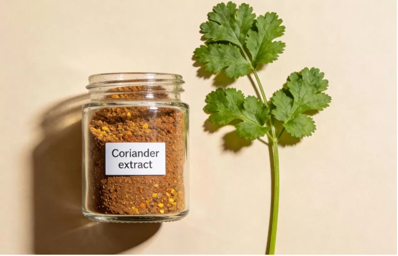 Coriander Extract