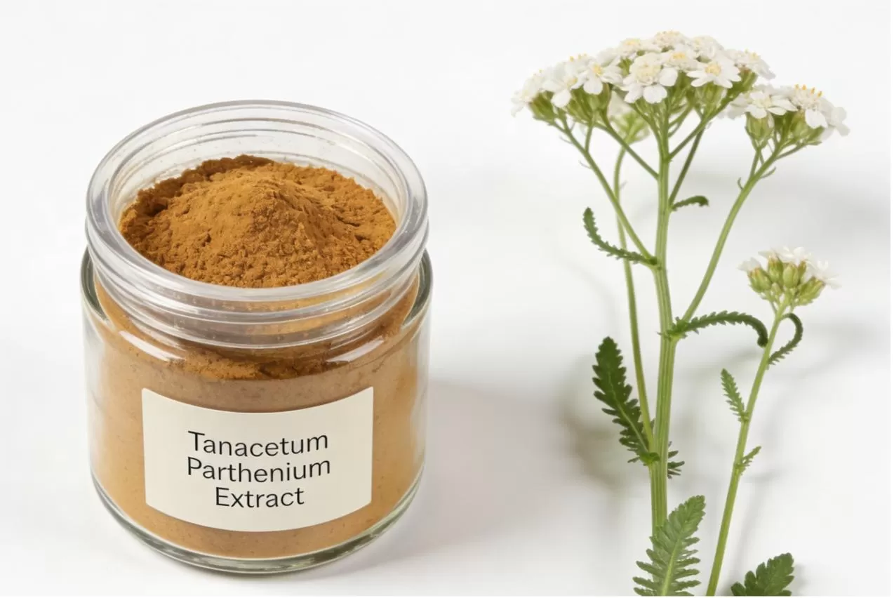 Tanacetum Parthenium Extract