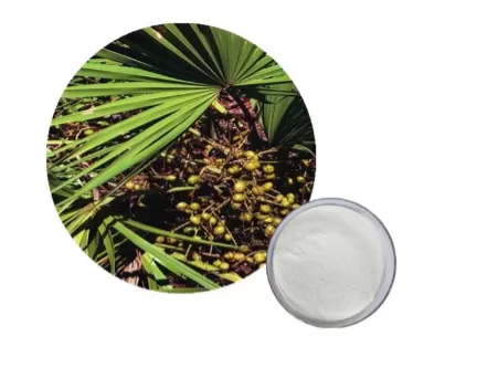 Saw Palmetto Extract