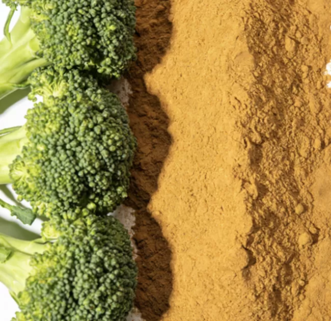 Broccoli Sprout Extract