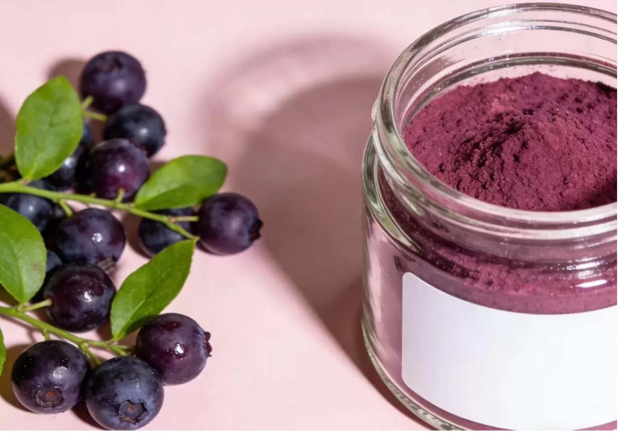 Bilberry Extract
